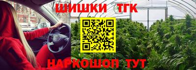тгк Кандалакша