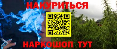 молекула духа Камышлов