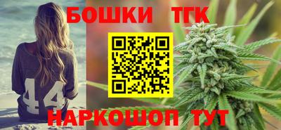 молекула духа Камышлов