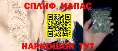 молекула духа Камышлов