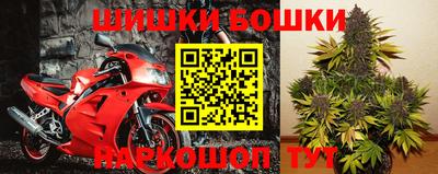 молекула духа Камышлов