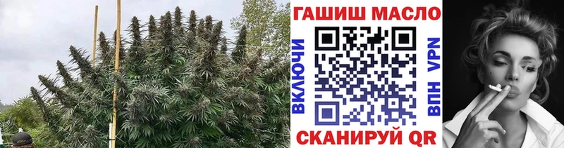 продажа наркотиков  Нефтеюганск  Дистиллят ТГК Wax 