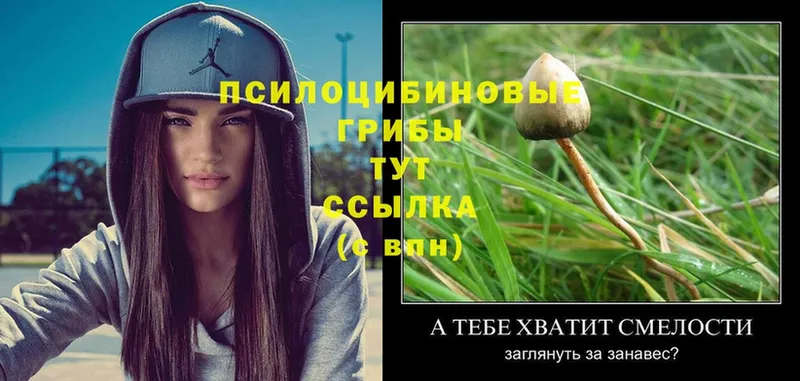 blacksprut ссылка  Нефтеюганск  это какой сайт  Псилоцибиновые грибы MAGIC MUSHROOMS 