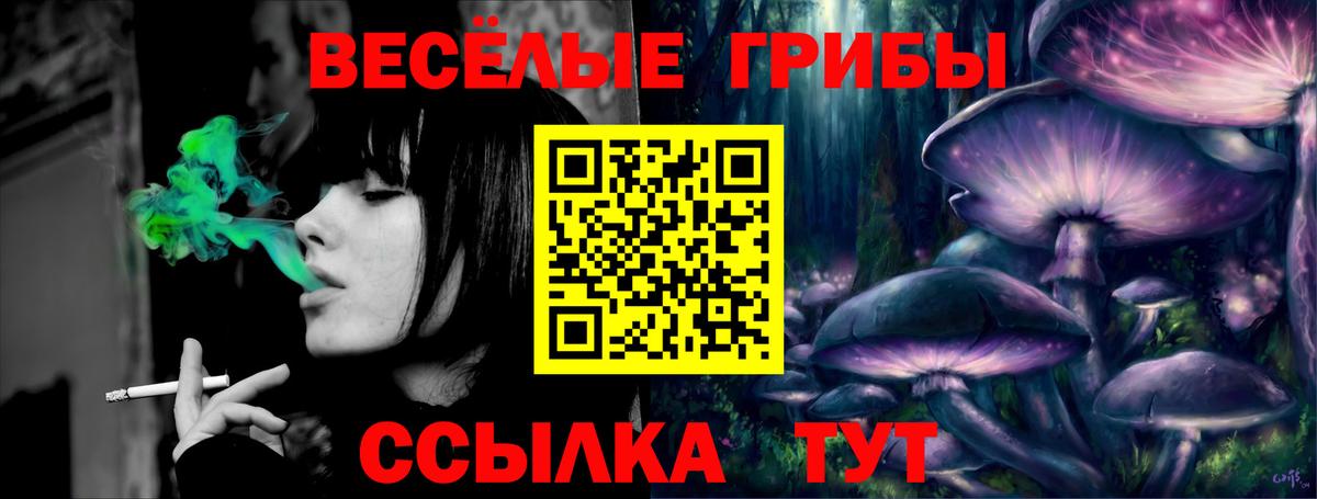 Нефтеюганск  закладка  Вход с VPN  Псилоцибиновые грибы GOLDEN TEACHER 